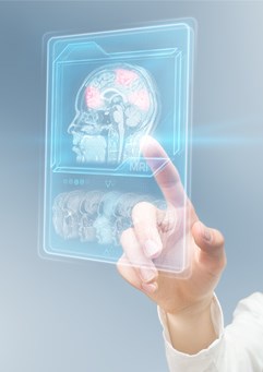 researcher pointing to brain image